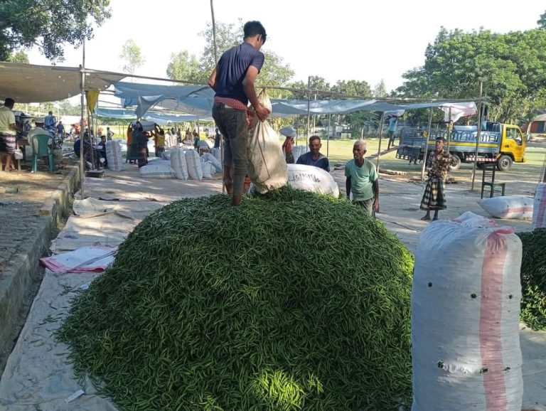 নওগাঁ: কাঁচা মরিচ ৩০ টাকা কেজি।